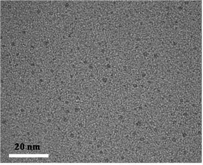 Preparation method of fluorescent carbon dots from roasted chicken and method for detecting concentration of serum albumin by fluorescent carbon dot probe from roasted chicken