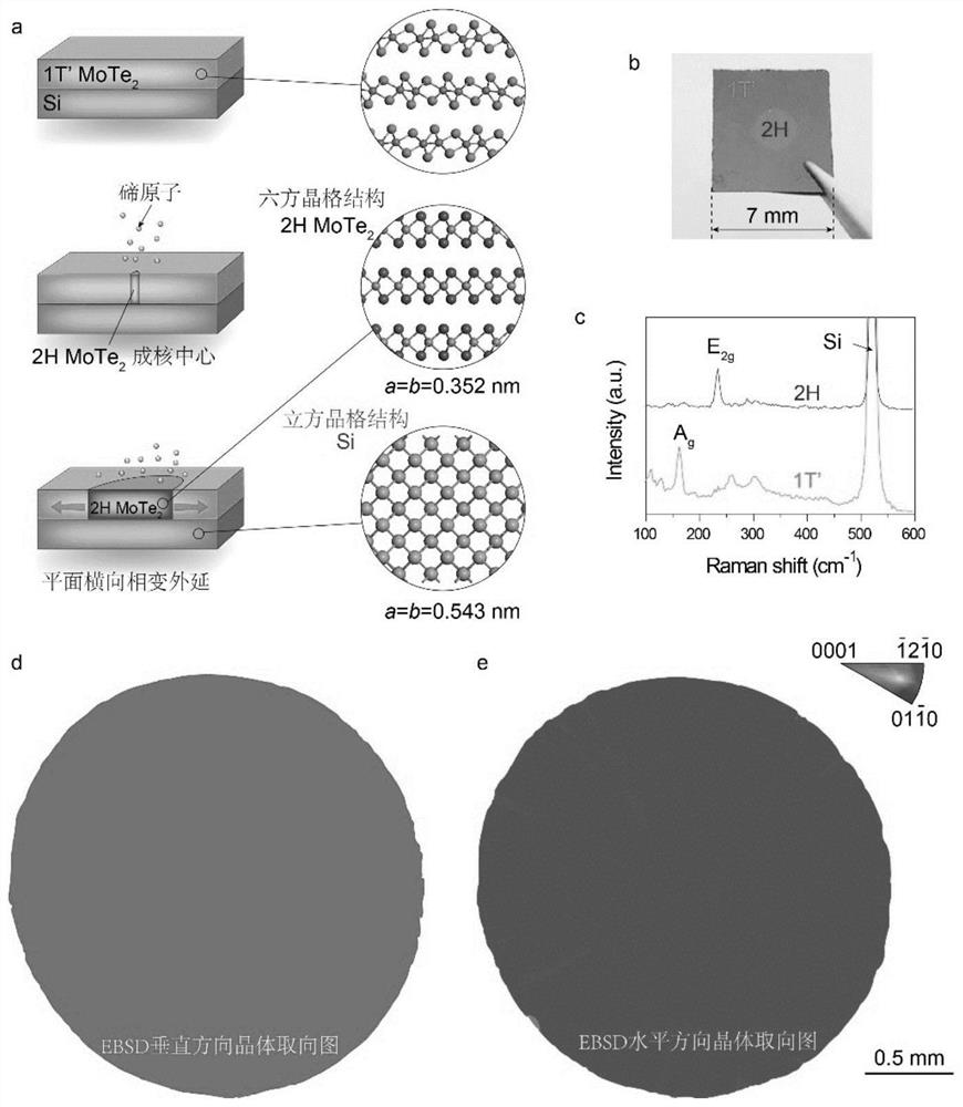 Heterogeneous integration method for monocrystalline two-dimensional semiconductor molybdenum telluride film and arbitrary lattice mismatched monocrystalline substrate