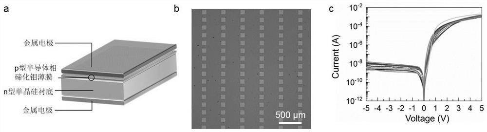 Heterogeneous integration method for monocrystalline two-dimensional semiconductor molybdenum telluride film and arbitrary lattice mismatched monocrystalline substrate