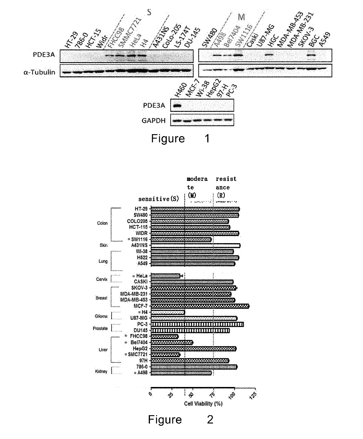 Application of pde3a in judgment of tumor treatment effect of anagrelid