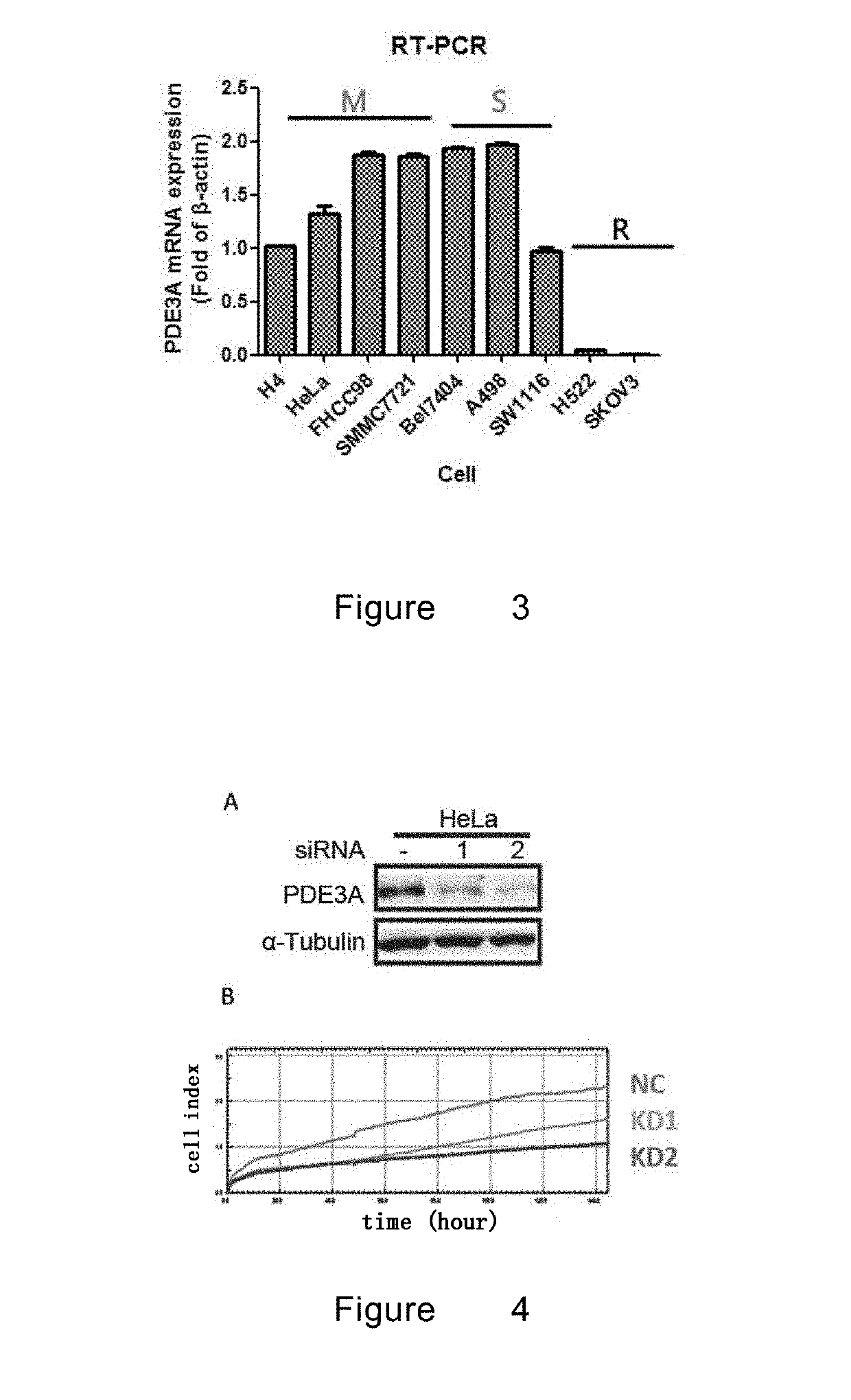 Application of pde3a in judgment of tumor treatment effect of anagrelid