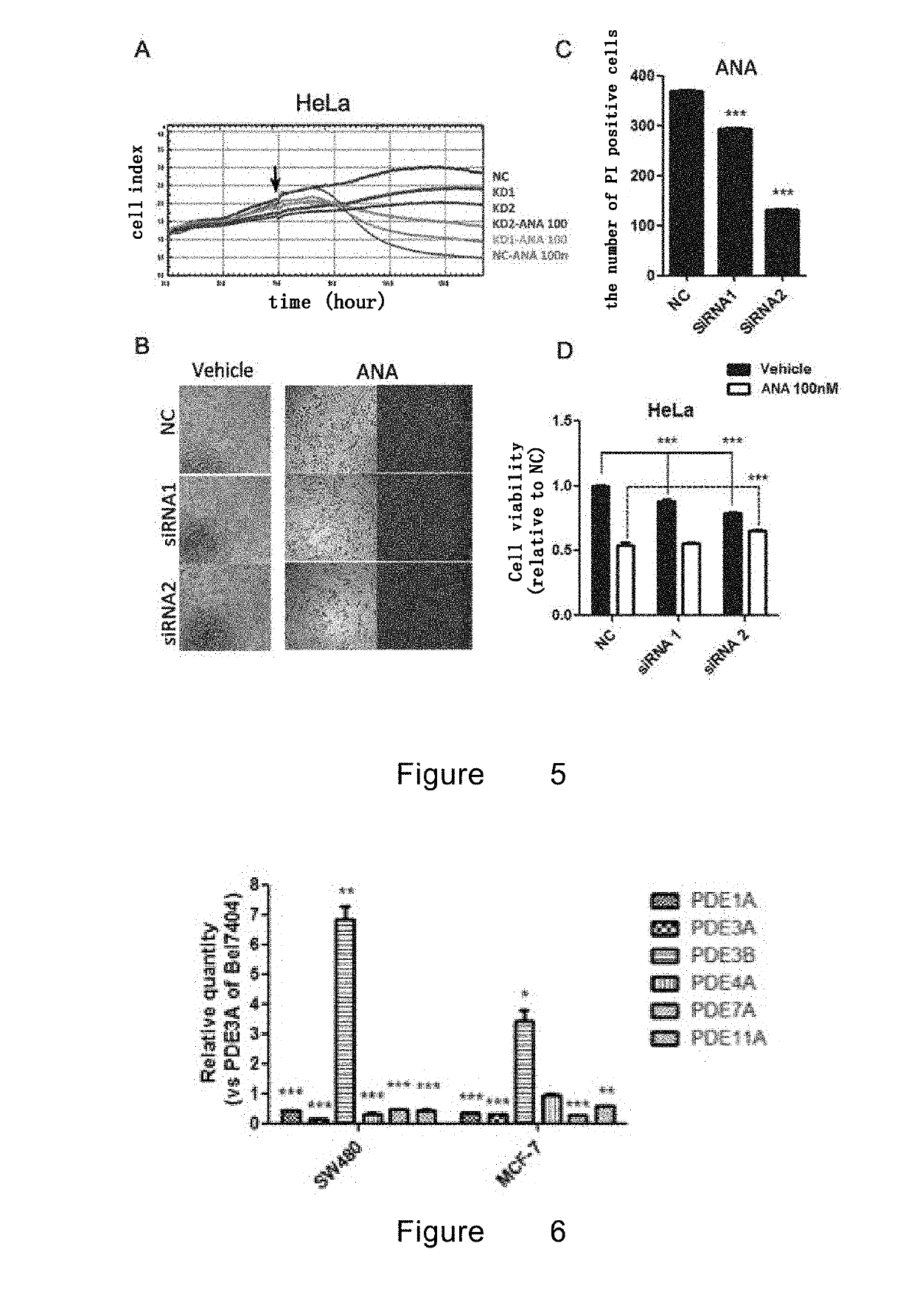 Application of pde3a in judgment of tumor treatment effect of anagrelid