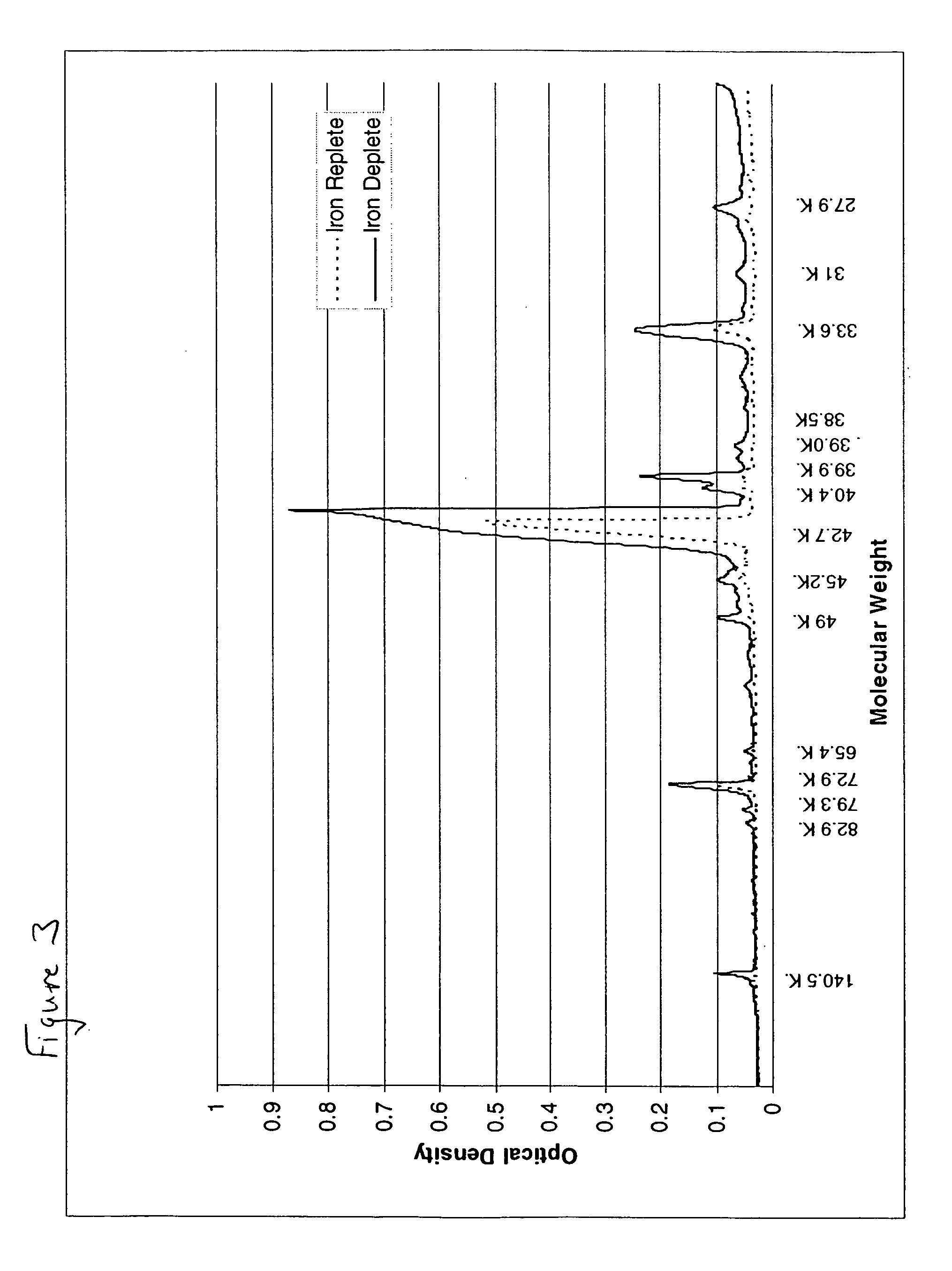 Fusobacterium polypeptides and methods of use