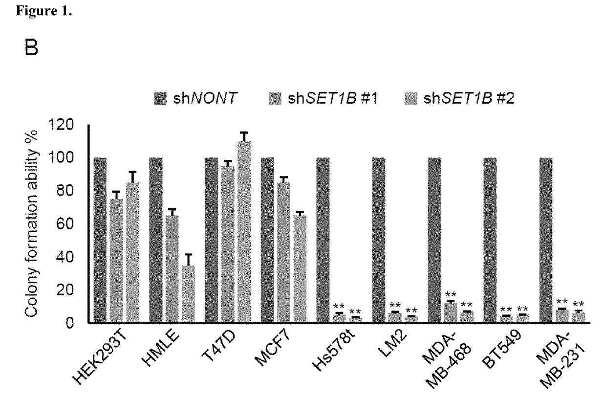 Therapeutic targeting of SET1B/compass pathway for treating cancers