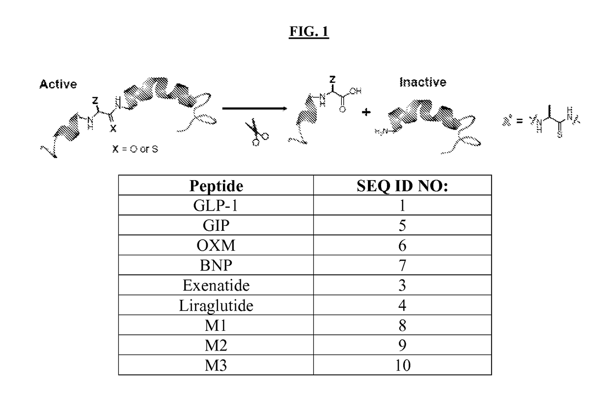 Thioamide-modified peptides and uses thereof