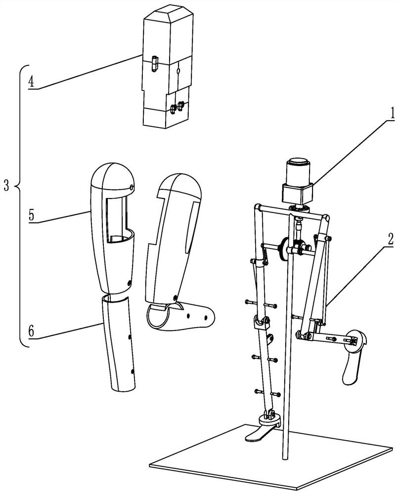 A shoe display robot