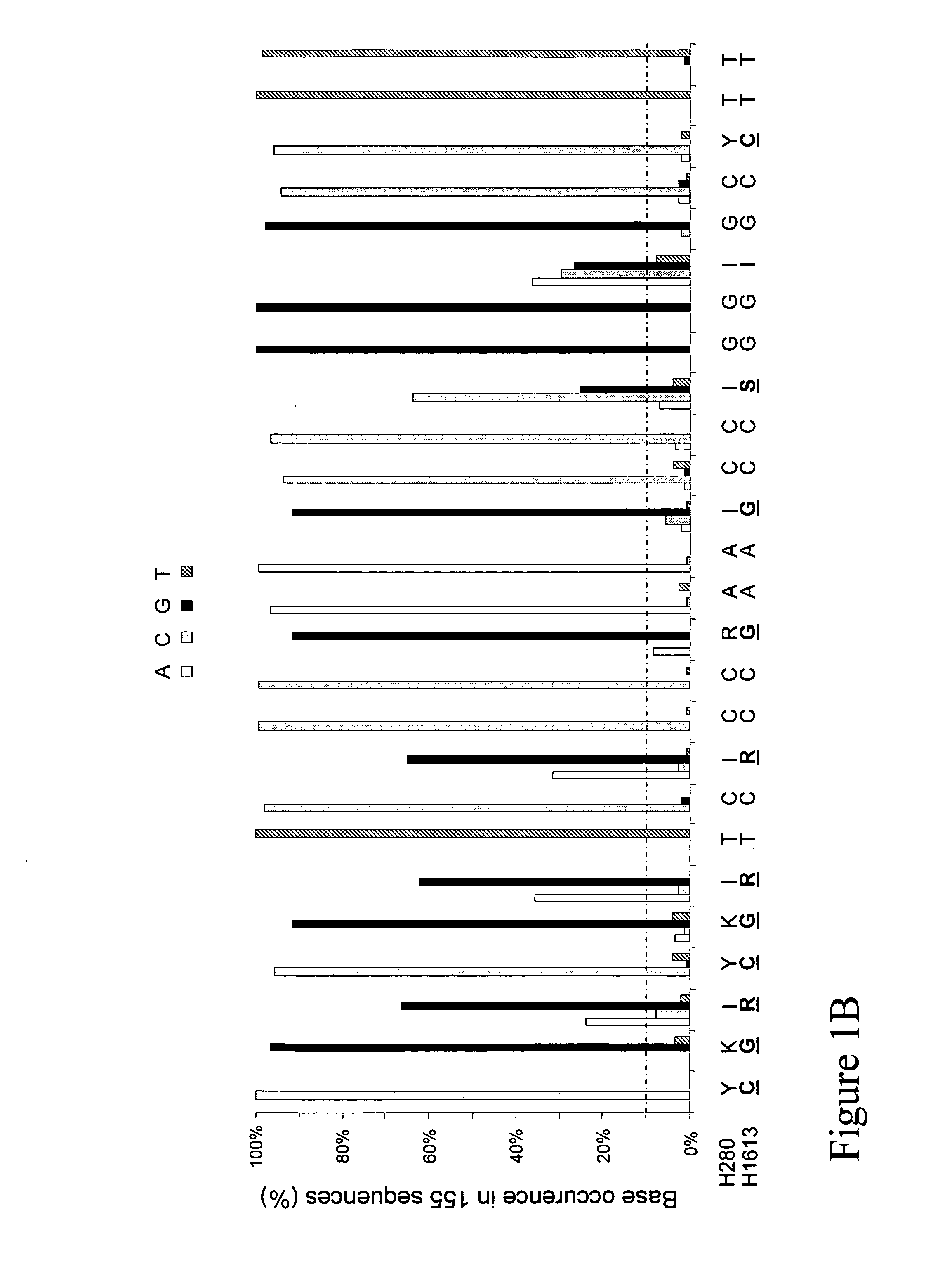 Strong PCR primers and primer cocktails