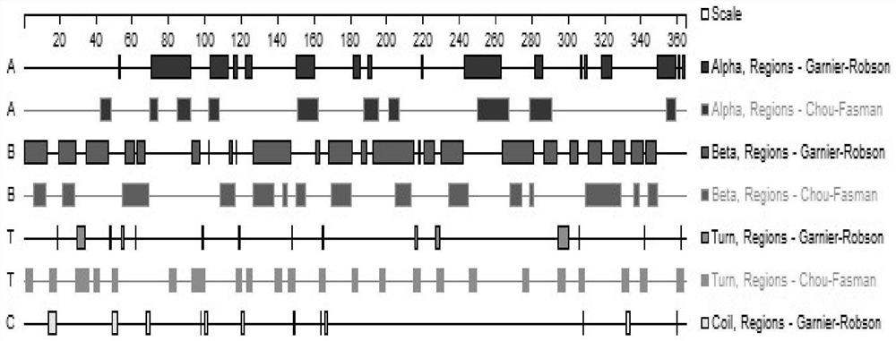 Antigen epitope, antibody, identification method and application of Newcastle disease virus matrix protein