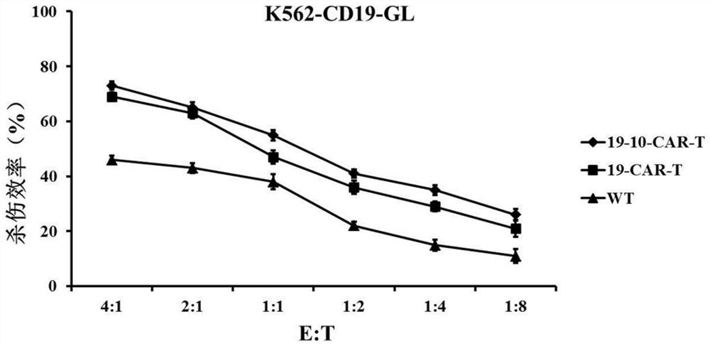 CD19 and CD10 dual-target chimeric antigen receptor and its application
