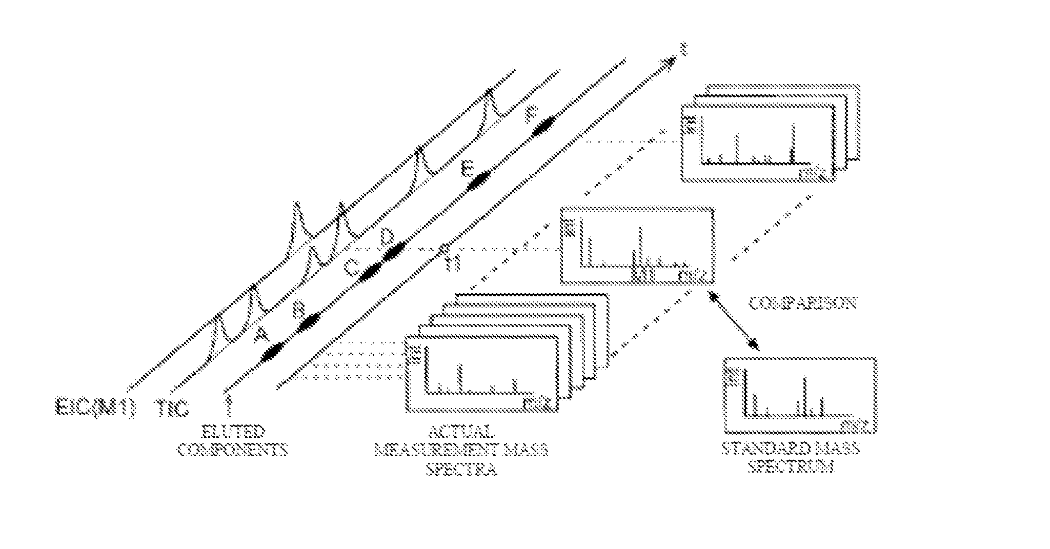 Chromatograph mass spectrometry data processing device