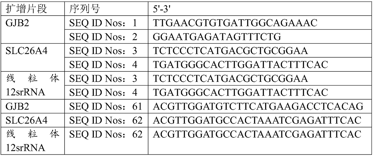 Detection method and detection kit for hereditary deafness genes