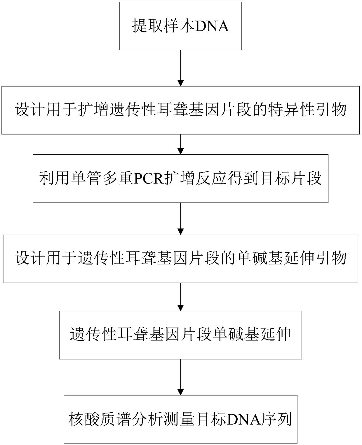 Detection method and detection kit for hereditary deafness genes