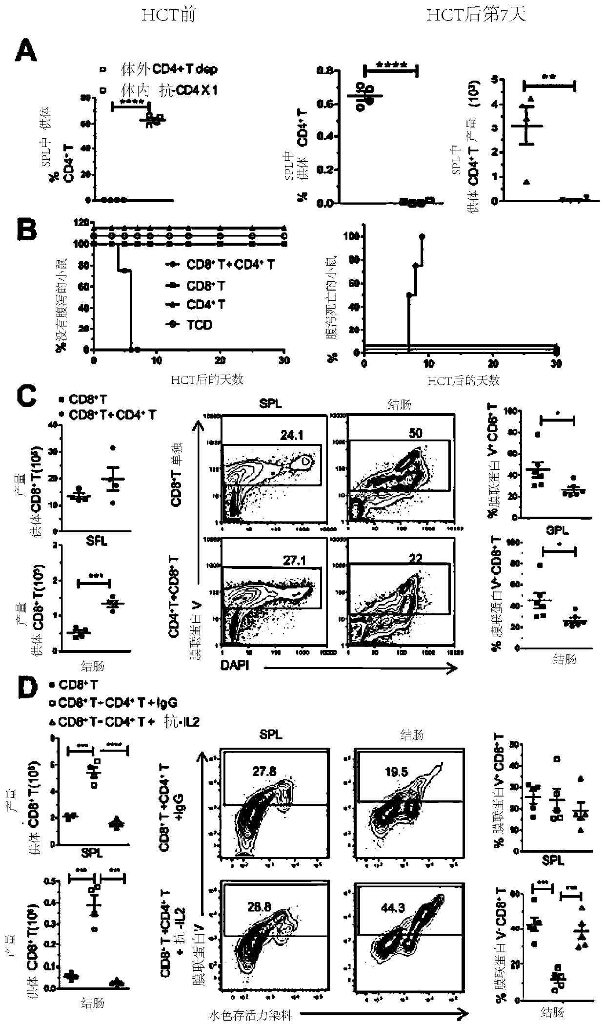 Methods for in vivo expansion of cd8+ t cells and prevention or treatment of gvhd