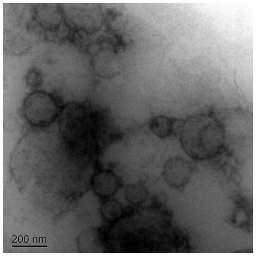 A method for identifying copper ions and iron ions in aqueous solution