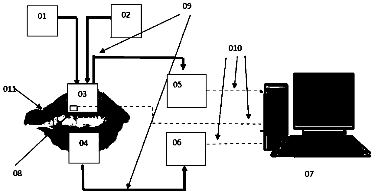 Detection method for optical noninvasive measurement of blood glucose concentrations based on lips