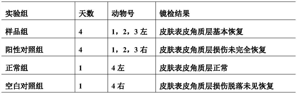 Cosmetic composition for improving pores and preparation method thereof