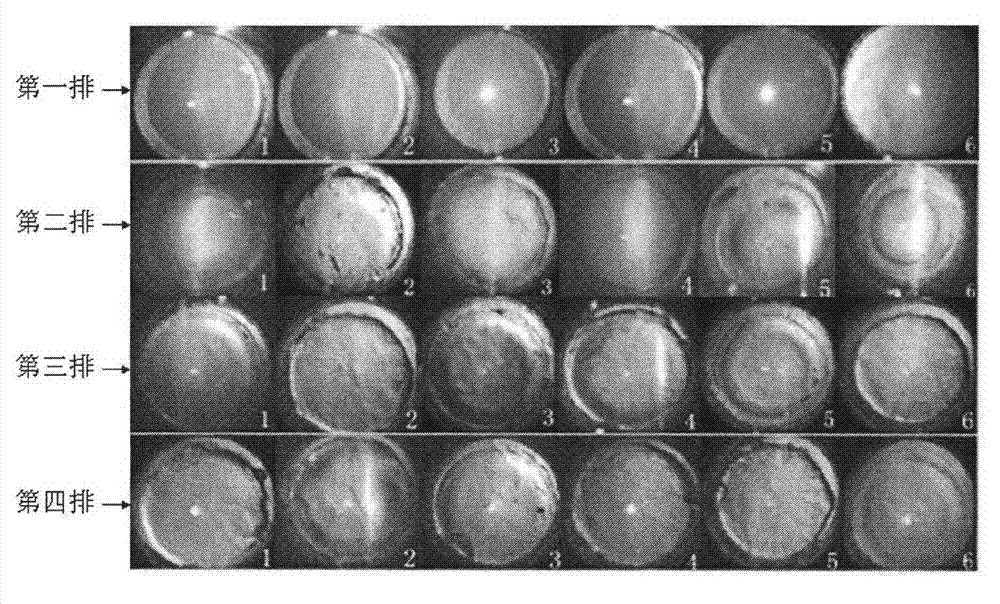 Recombinant hirudin eye drops and preparation method thereof