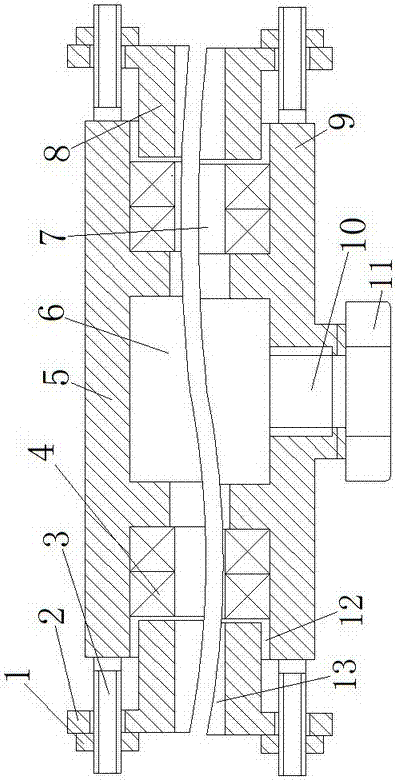 Rapid connection leakage repairing device