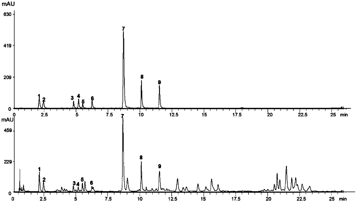 Method for detecting content of 9 components of polygala tenuifolia through quantitative analysis of multi-components by single marker (QAMS)