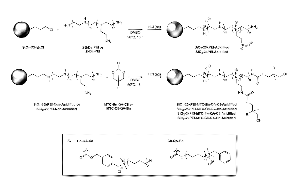 Antibacterial particles functionalized with polyalkylene imine and its derivatives for water disinfection