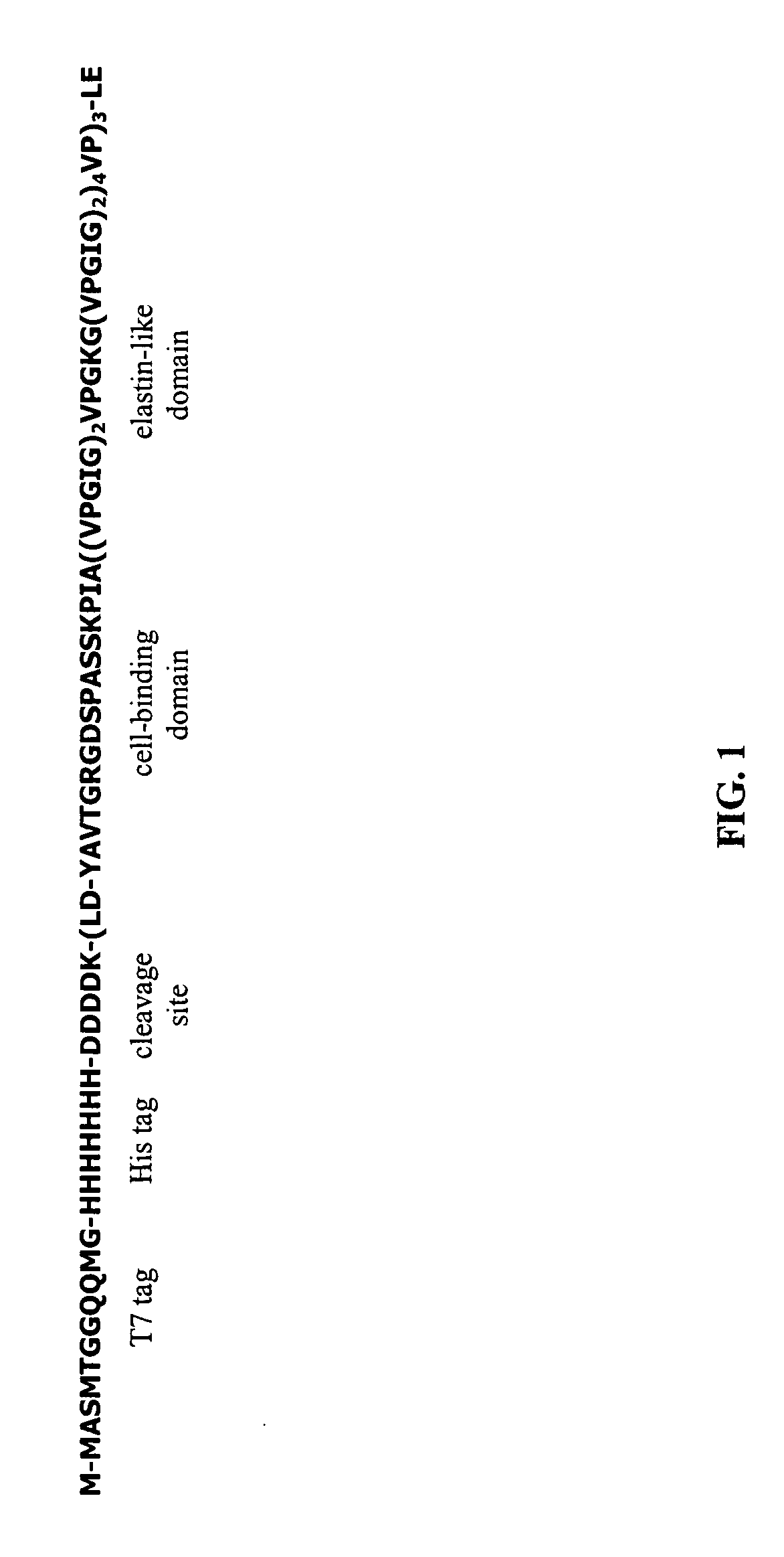 Engineered proteins, and methods of making and using