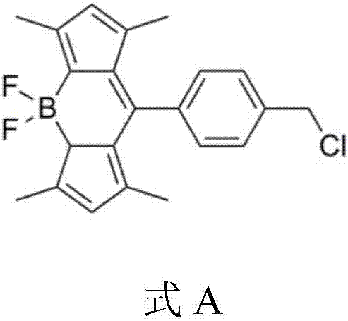 Composite nanometer antibacterial agent having bacterium specific recognition capacity and application of composite nanometer antibacterial agent