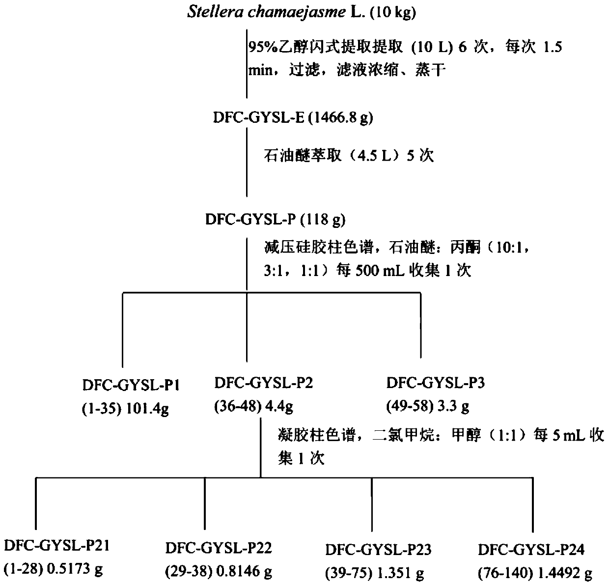 Preparation method of Daphne chamaejasme total diterpenes and its use in pharmacy