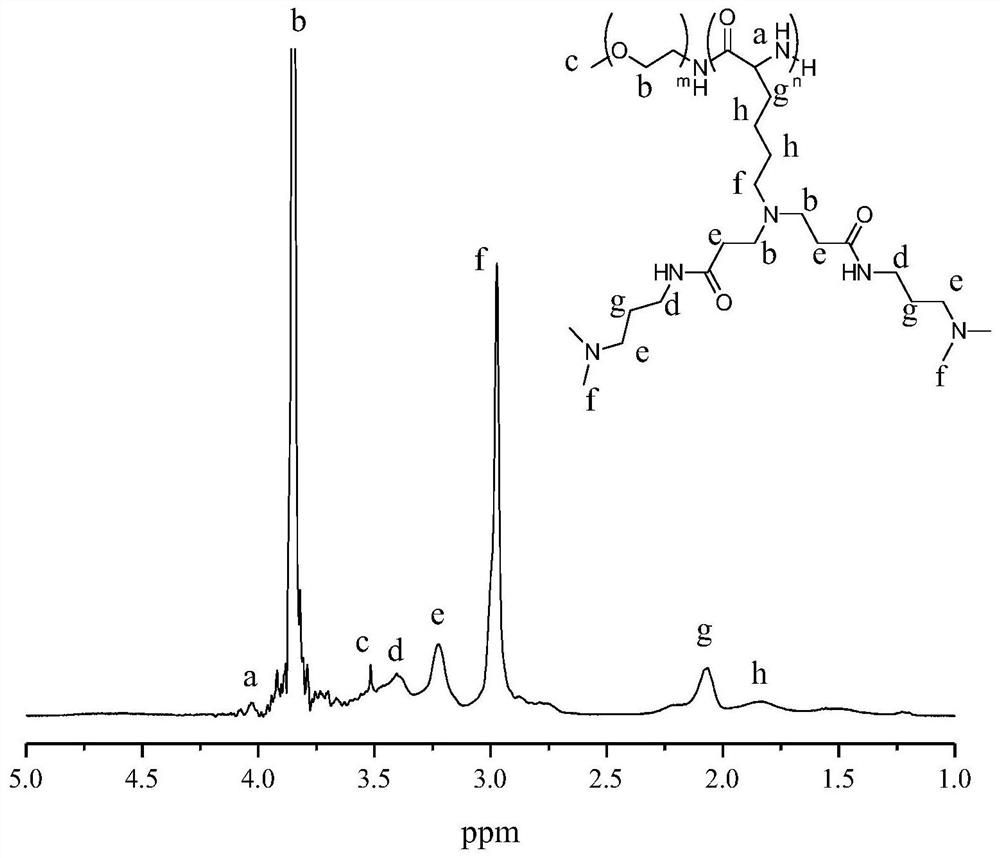 A kind of cationic polymer and its preparation method and application