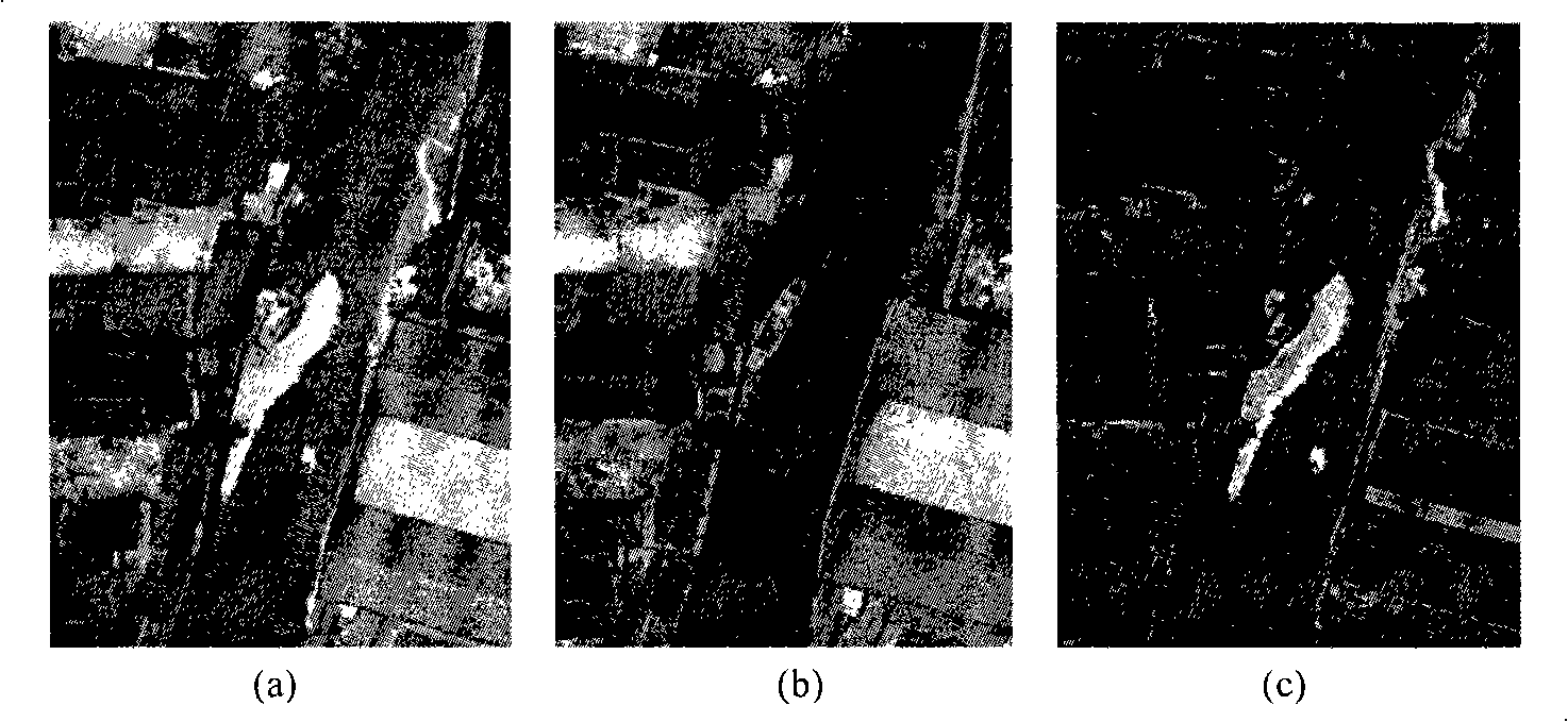 Automatic selection of orthogonal projecting inlay line and orthogonal projection image seamless inlay method