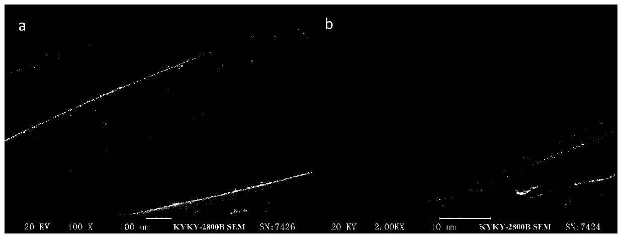 Polyformaldehyde fiber, modification method and application of polyformaldehyde fiber