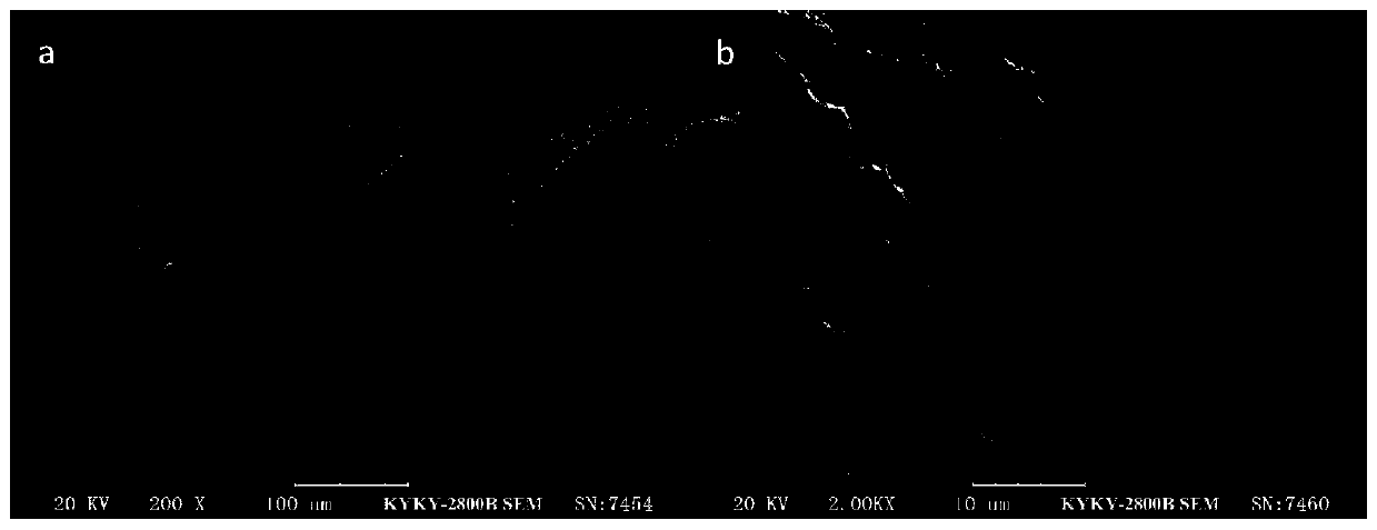 Polyformaldehyde fiber, modification method and application of polyformaldehyde fiber