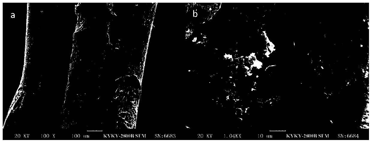 Polyformaldehyde fiber, modification method and application of polyformaldehyde fiber