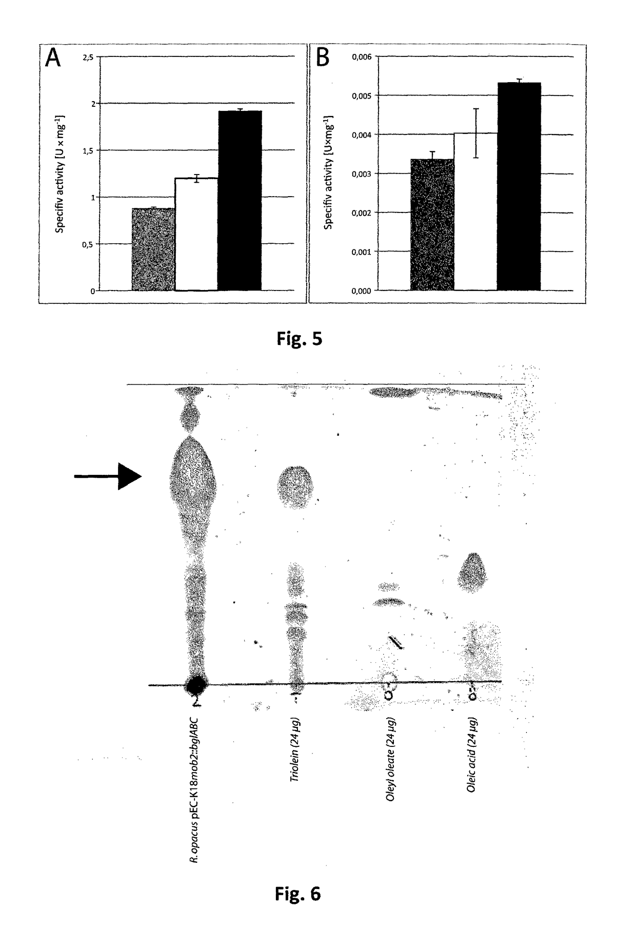 Oleaginous bacterial cells and methods for producing lipids