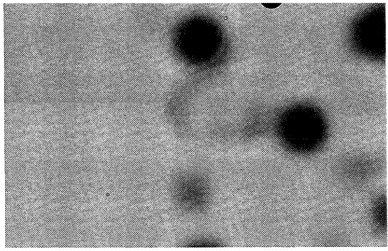 Method for picking a colony of cells