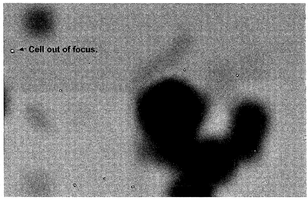 Method for picking a colony of cells