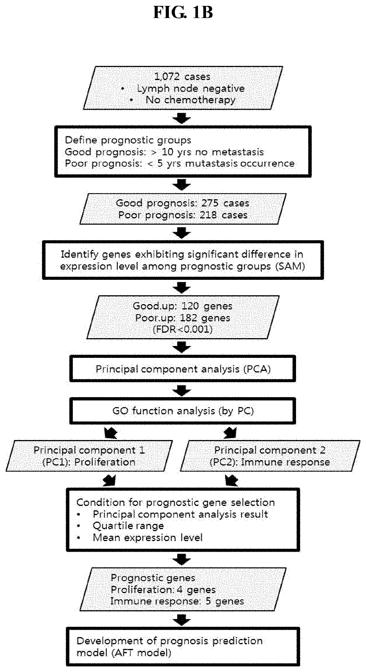 Genetic marker for early breast cancer prognosis prediction and diagnosis, and use thereof