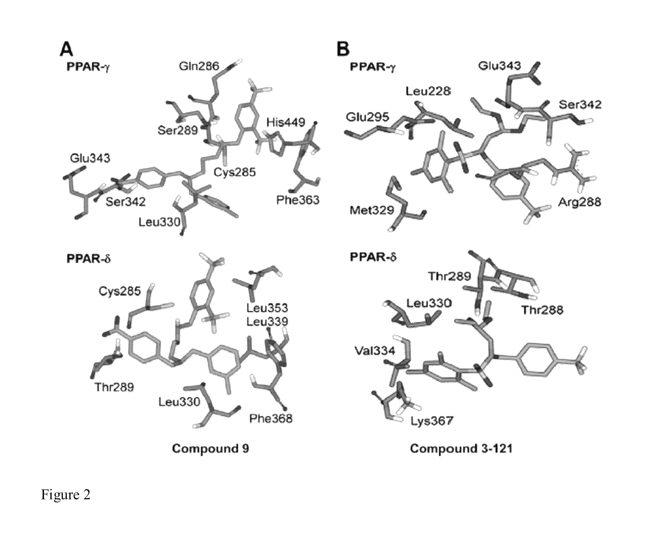 Dual PPAR-δ PPAR-γ agonists