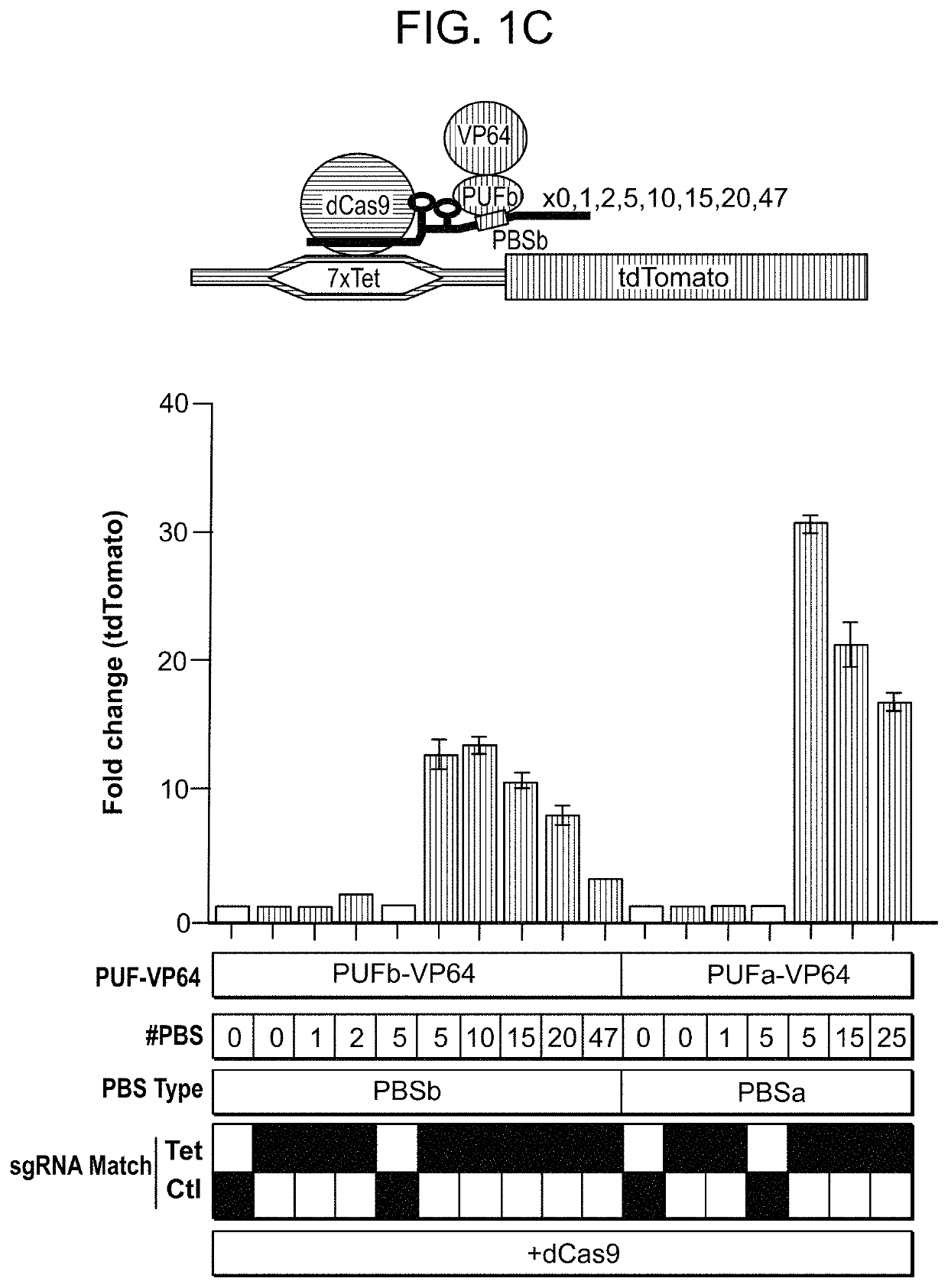 Three-component CRISPR/Cas complex system and uses thereof