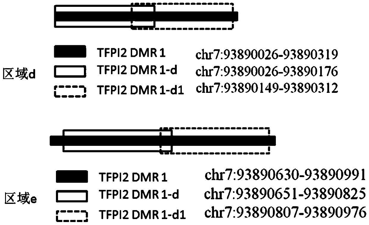 Application and kit of detection reagents for detecting colorectal cancer-related gene methylation