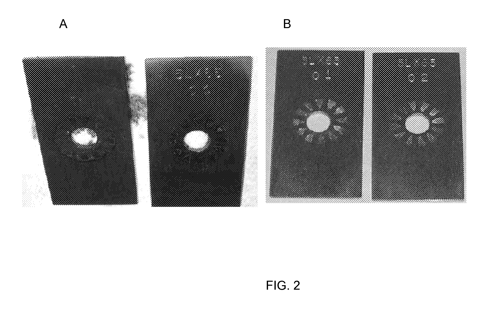 Inhibiting corrosion and scaling of surfaces contacted by sulfur-containing materials