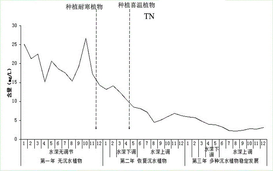 The method of water depth adjustment to control the growth of submerged plants to control the eutrophication of lakes