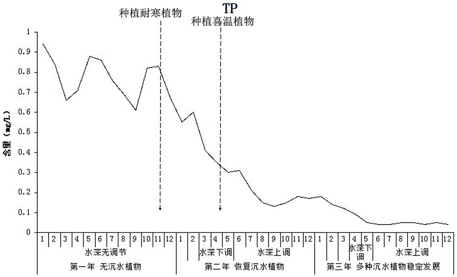 The method of water depth adjustment to control the growth of submerged plants to control the eutrophication of lakes