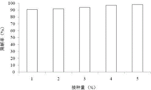 Acinetobacter calcoaceticus NOR-36 for degradation of norfloxacin and application of acinetobacter calcoaceticus NOR-36