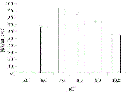 Acinetobacter calcoaceticus NOR-36 for degradation of norfloxacin and application of acinetobacter calcoaceticus NOR-36