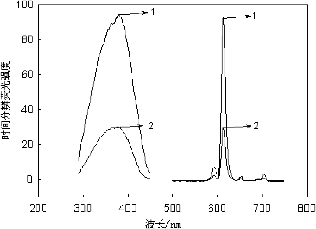 Escherichia coli detection method based on time-resolved fluorescence method and DNA hybridization