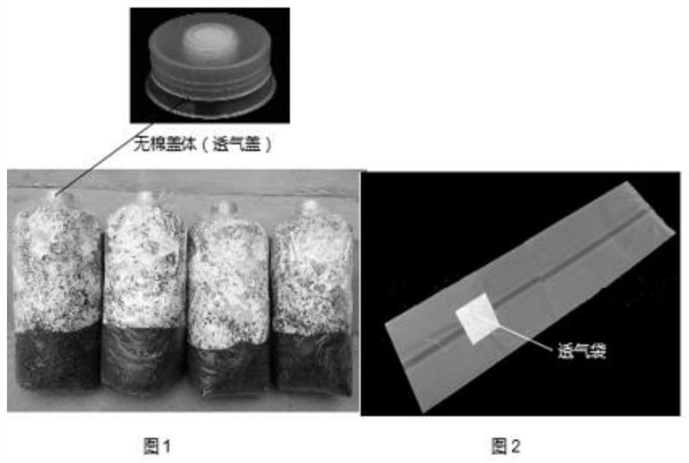 Fungus bag cultivation method for supplying oxygen to edible fungi in whole process