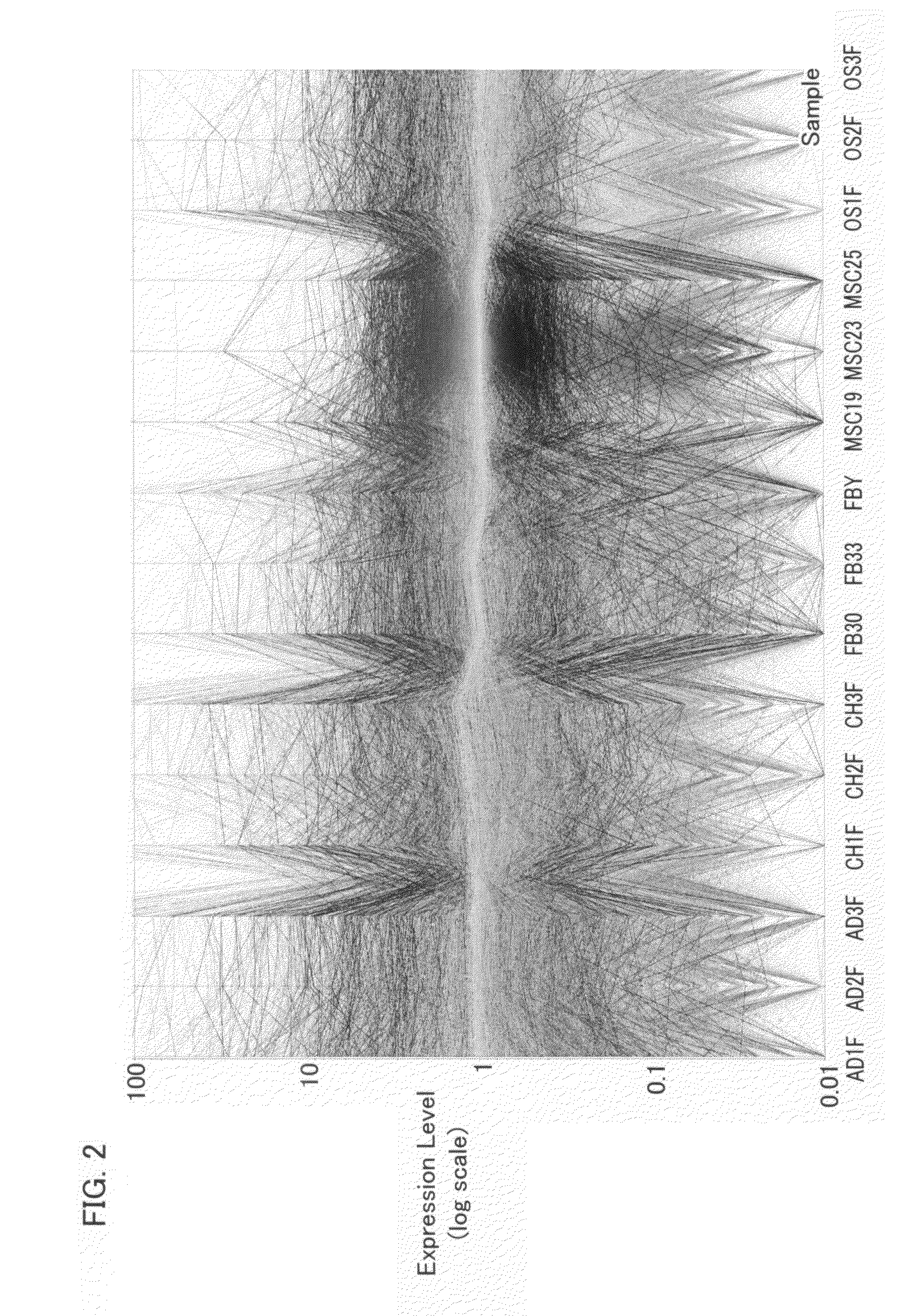 Method for distinguishing mesenchymal stem cell using molecular marker and use thereof