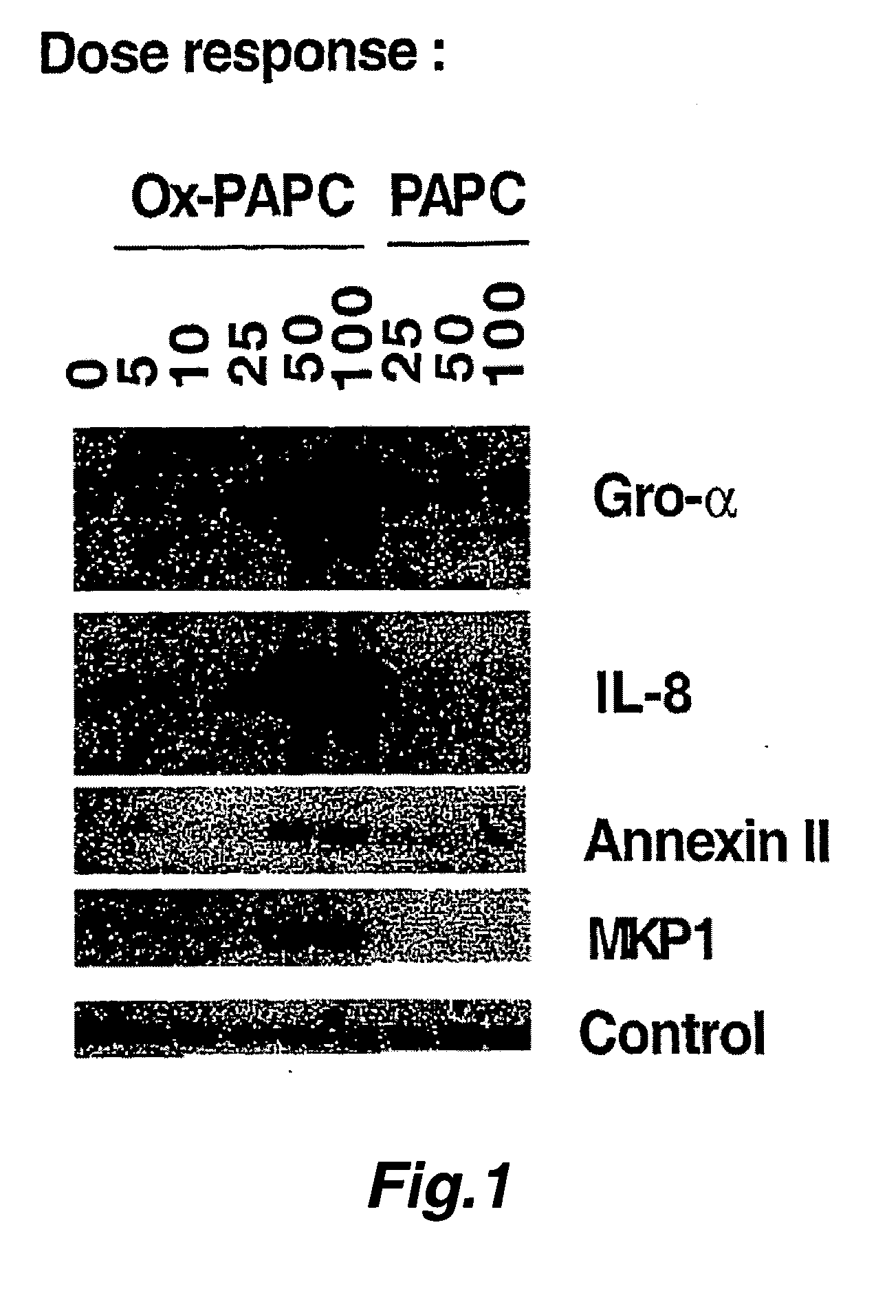 Control of gene induced by oxidated lipids in human artery wall cells