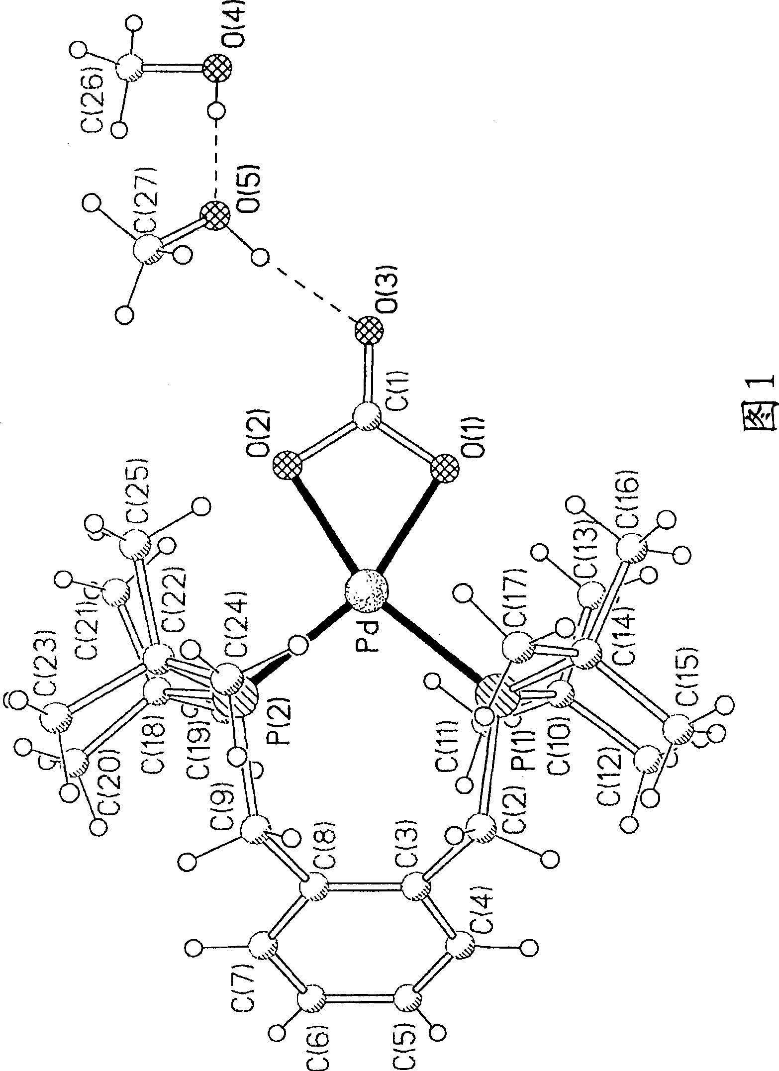 Metal complexes for use in the carbonylation of ethylenically unsaturated compounds