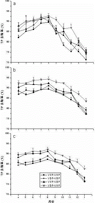 Method for improving sewage purification effect of combined vertical subsurface flow type artificial wetland